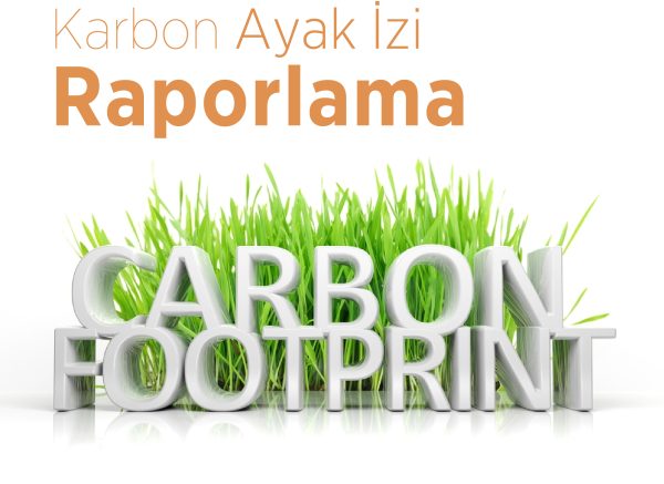 karbon ayak izi raporlama 1